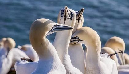 世界杯投注-外媒：冬泳爱好者成北京冬日风景线
